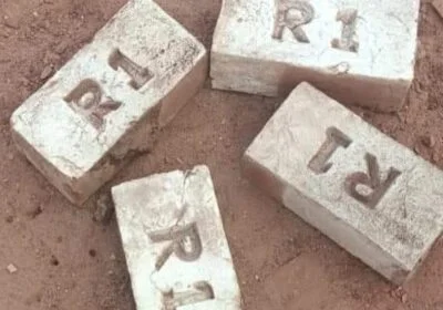 FB_IMG_1647000249873