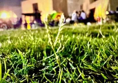 88EEA9F0-C2B0-47DD-91B2-4E30E152A439