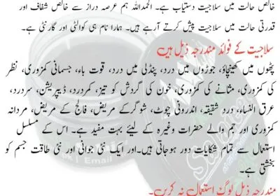 portrait-1665250135487