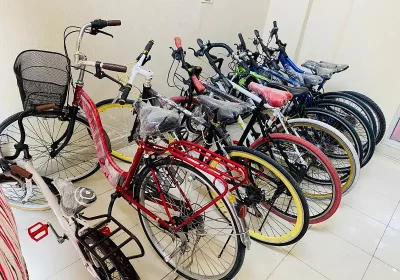 Imported Japanese Bicycles
