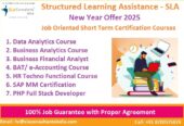 Data Analyst Course, 110040, Top Google Rated